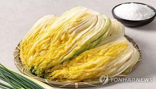 [연합뉴스