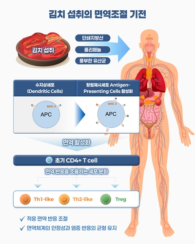 김치연구소, 김치 면역조절 효과 규명