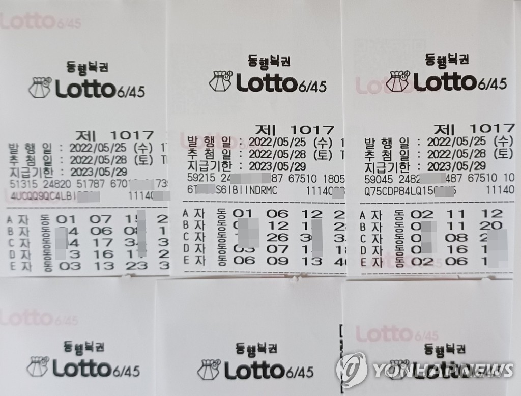 Namu lotto outlet korea