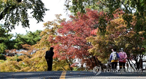 PYH2020101314390001300_P2.jpg (서울=연합뉴스)