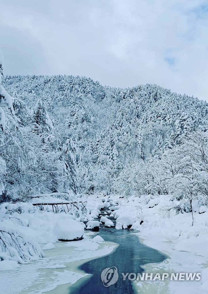 五台山白雪皑皑