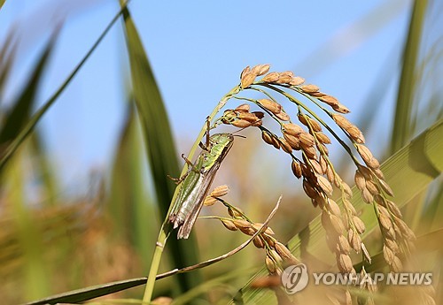 PYH2023100514190006200_P2.jpg [연합뉴스