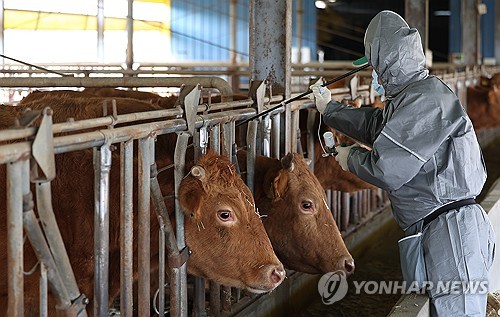 PYH2025031907100005300_P2.jpg [연합뉴스
