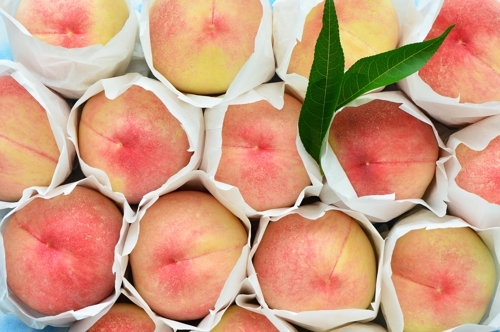 韩国忠州特产蜜桃出口香港