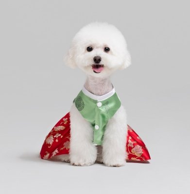 资料图片：狗狗穿着韩服。 韩联社/SSG.COM供图（图片严禁转载复制）