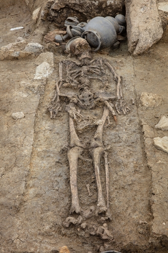 韩国出土1500年前身高1米8人骨