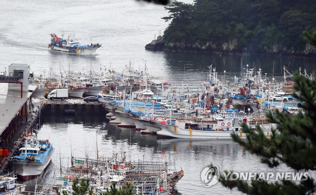 在济州道西归浦港，渔船陆续回港避风。 韩联社