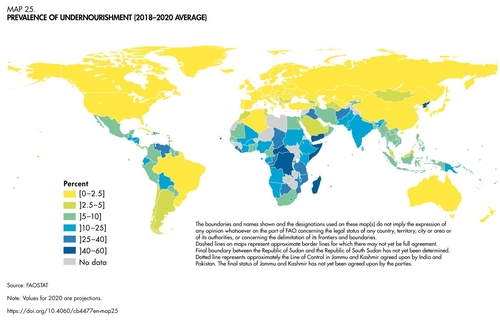 联合国粮农组织发布的《2021年世界粮食及农业统计年鉴》截图 （图片严禁转载复制）
