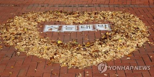 11月16日，在首尔中区梨花女子高中，有人用落叶做成心形中间摆放“高考大吉”的字样祝福考生。 韩联社