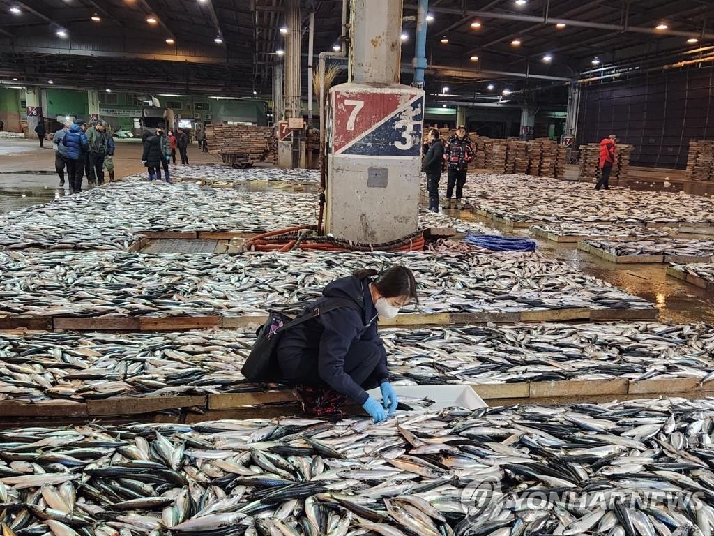 资料图片：2月28日，在釜山共同鱼市场，国立水产物品质管理员对水产品进行辐射检测。 韩联社