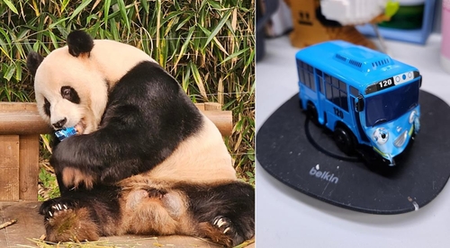 韩国爱宝乐园熊猫世界将每人限看5分钟