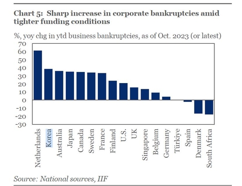 世界17国企业破产数量增速 国际金融协会（IIF）报告截图（图片严禁转载复制）