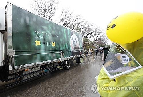 在韩出生大熊猫福宝返回中国 大批民众雨中送行