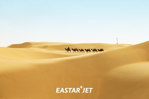 Eastar Jet launches temporary passenger service to Ordos