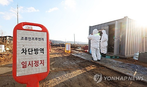 S. Korea reports 1st highly pathogenic bird flu case for this year