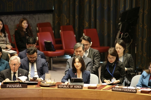 Vice FM calls for effective implementation of arms embargoes to curb illicit trade