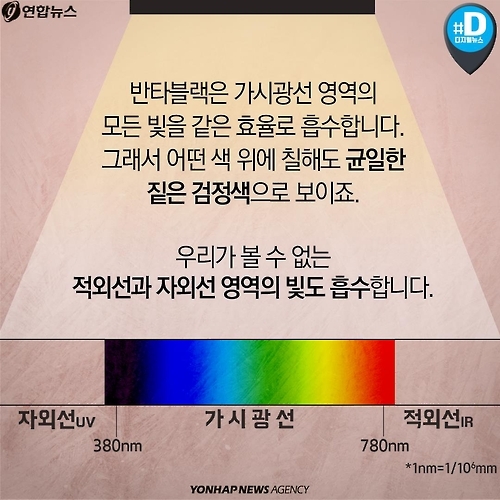 빛 흡수