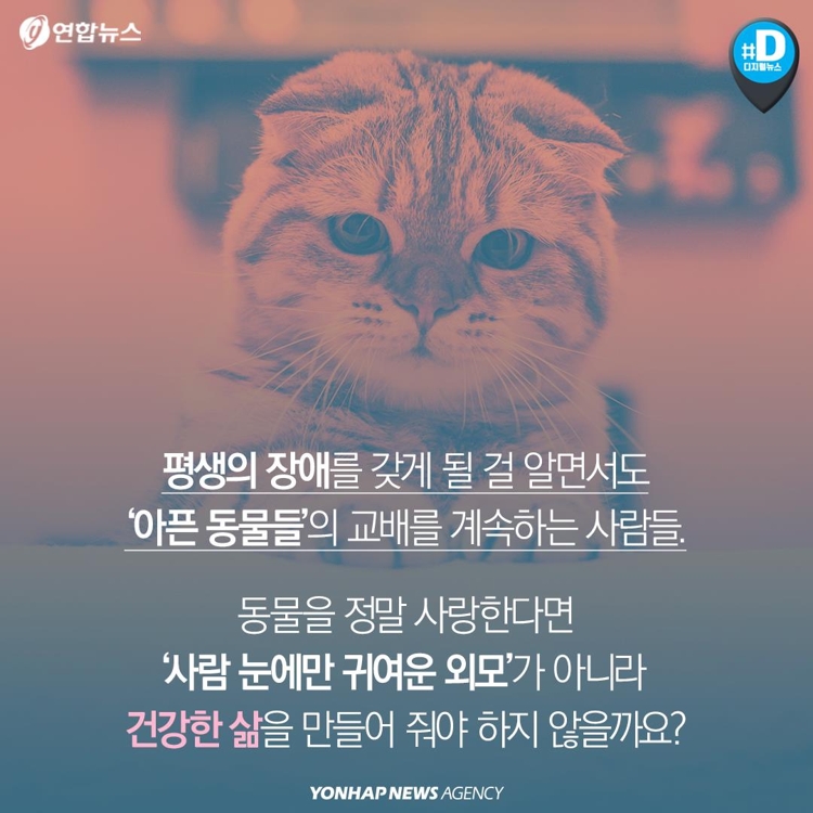 정말 귀여운 동물의 이미지