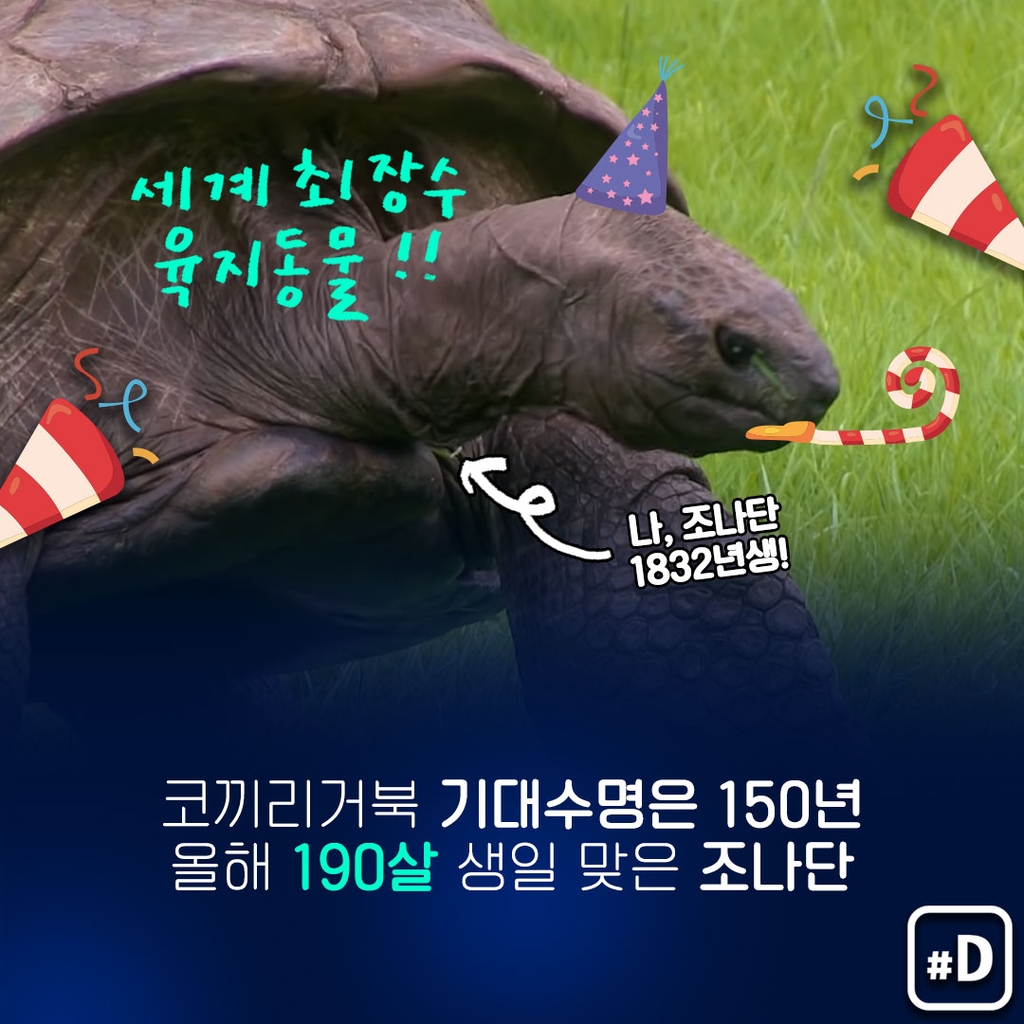 [포켓이슈] 190살 최장수 거북의 관심사는? - 2