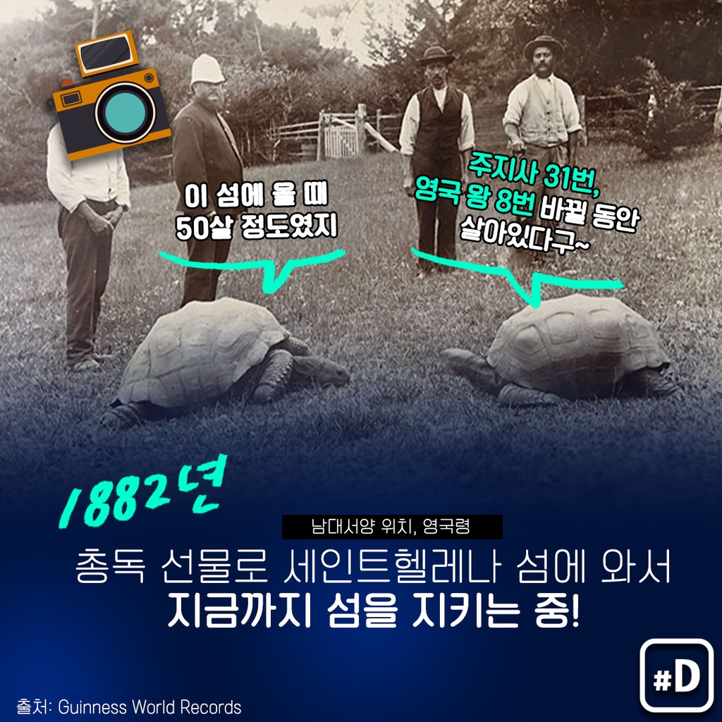 [포켓이슈] 190살 최장수 거북의 관심사는? - 6