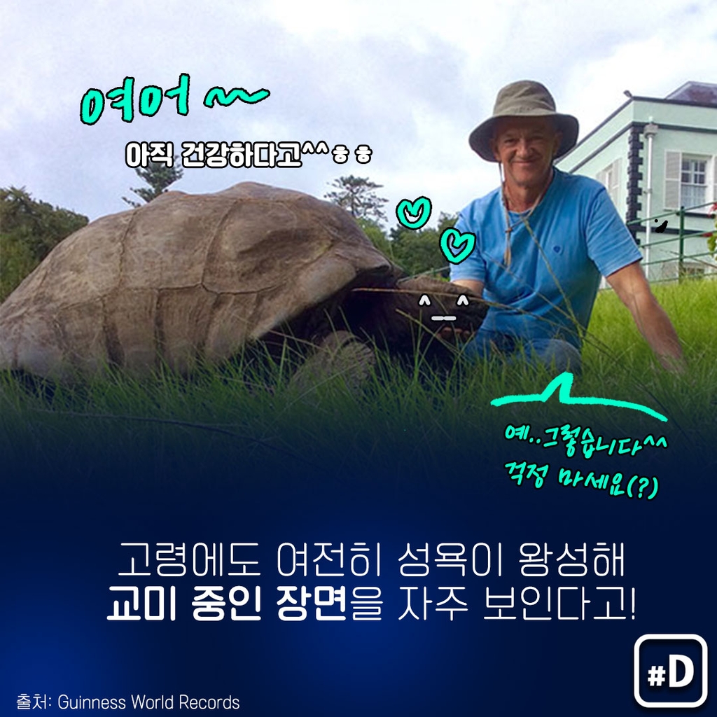 [포켓이슈] 190살 최장수 거북의 관심사는? - 7