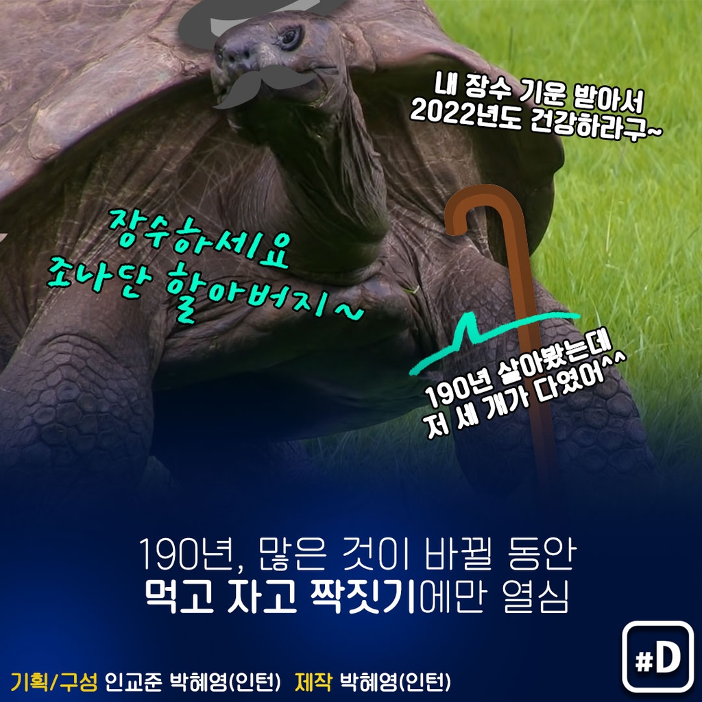 [포켓이슈] 190살 최장수 거북의 관심사는? - 8