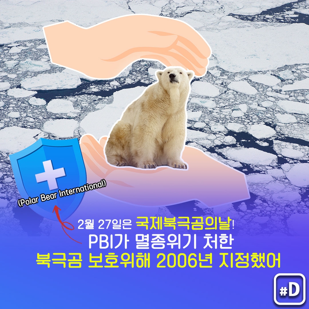 [오늘은] '멸종위기' 북극곰을 생각해보는 날! - 2