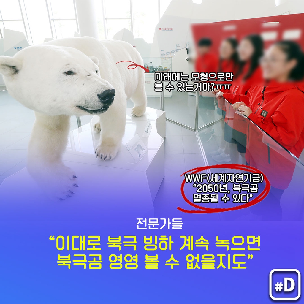 [오늘은] '멸종위기' 북극곰을 생각해보는 날! - 5