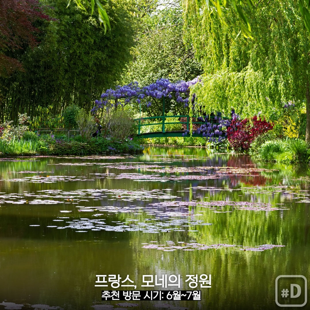 [여행honey] 꽃으로 힐링을…세계 유명 정원 3곳 - 7