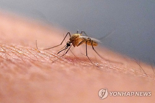 문화/연예 관련 이미지 - 단계