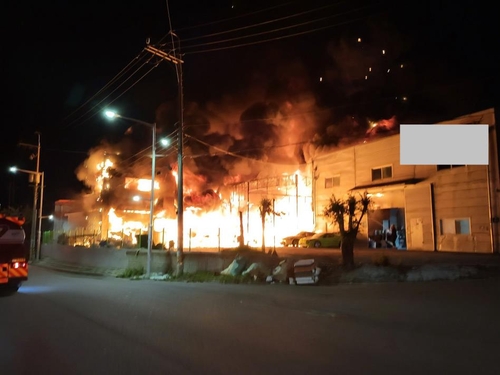 정치 관련 이미지 - 오후