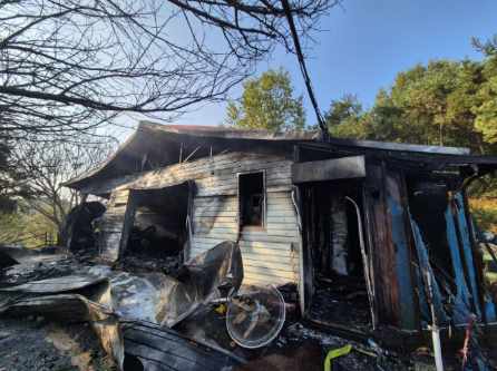 사회 관련 이미지 - 단계