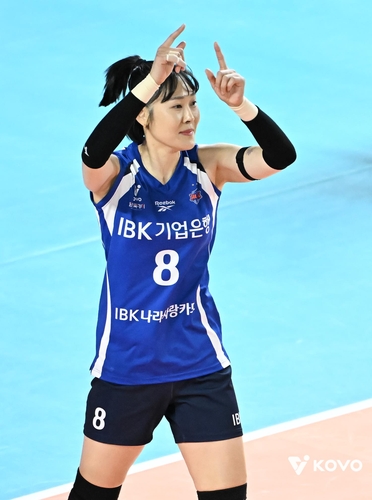 국제 관련 이미지 - 단계