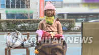 日驻韩大使和总领事今回国 抗议韩新设慰安妇少女像