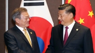 文在寅会晤习近平呼吁韩中紧密合作推动半岛和平