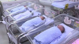 统计：韩国去年新生儿中头胎占比63%创新高