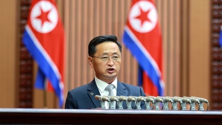 朝鲜总理金德训挨批三天后亮相主持内阁大政