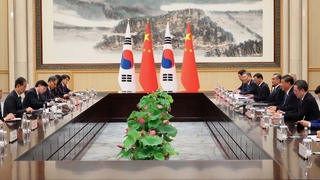 韩国总理韩悳洙在杭州会晤习近平