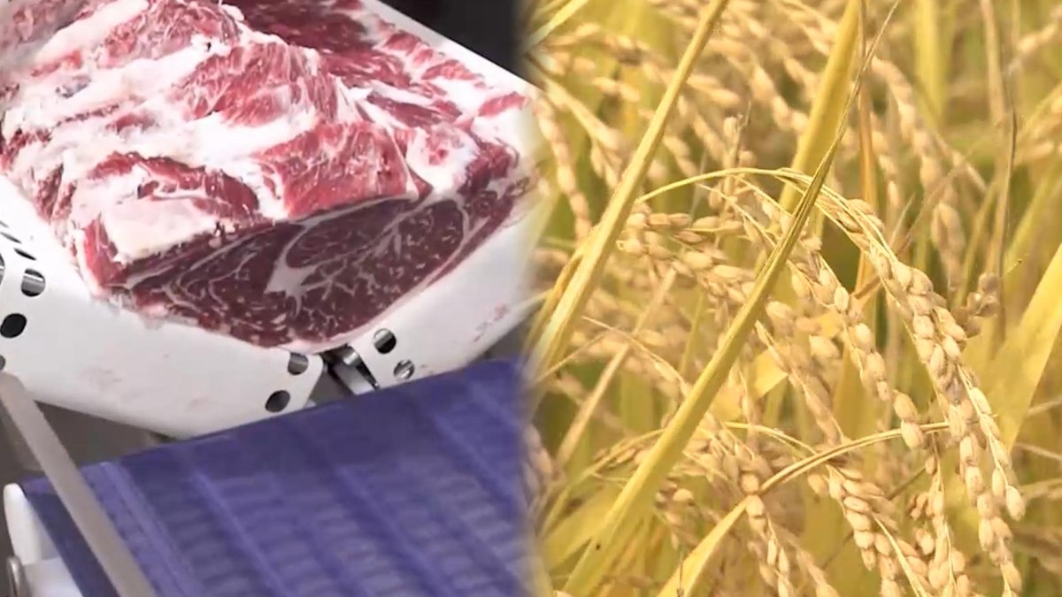 韩政府决定不将大米和牛肉作为韩美谈判筹码