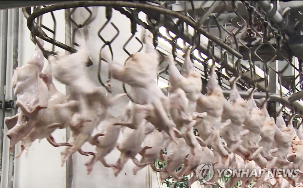 资料图片：鸡肉加工厂 韩联社TV供图（图片严禁转载复制）