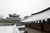 설 연휴 날씨 '비상'…임시공휴일부터 전국에 많은 눈