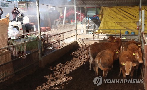 구제역 비상