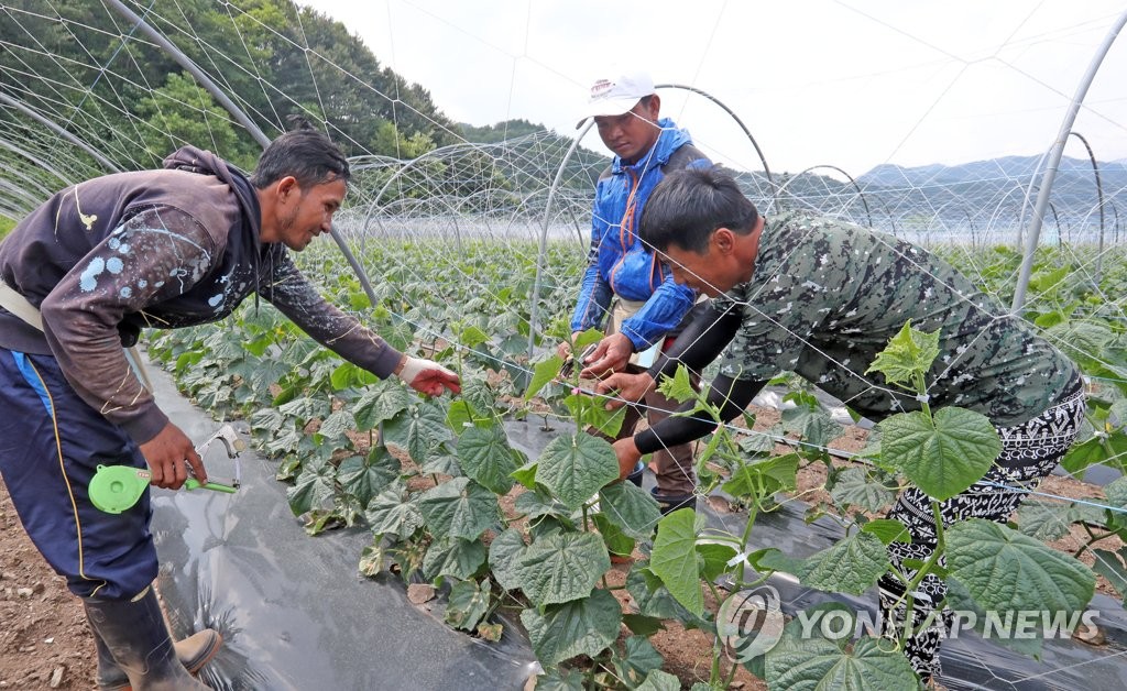 韩国面向境内外国人限时放开季节工市场