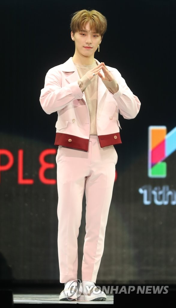 Seventeen成员DINO