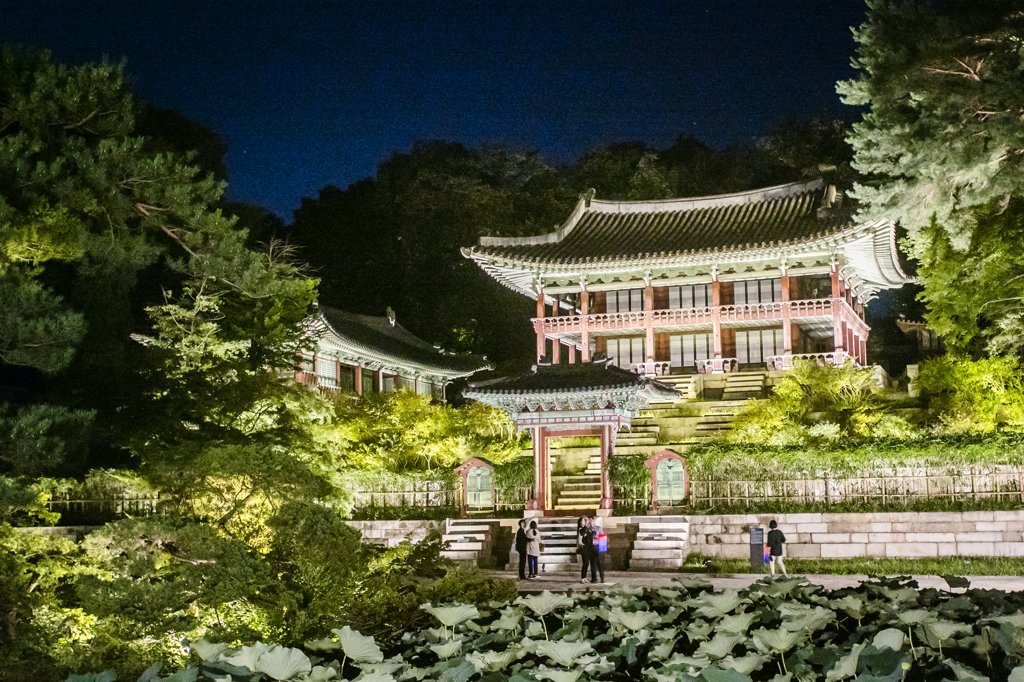 昌德宫月光之旅下月开始 昌德宫月光之旅下月开始
