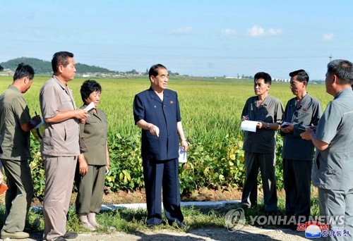 报告：朝鲜借农业市场化走出粮食安全困境