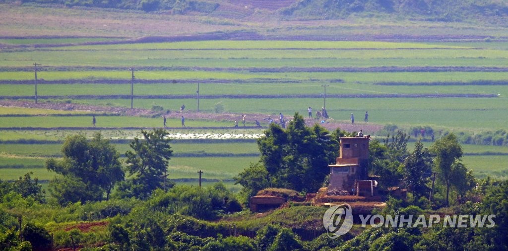 联合国粮农组织：朝鲜今年仍将需要外界粮援
