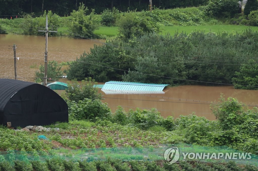 资料图片：8月6日，在京畿道涟川郡，临津江附近的农田被淹。 韩联社