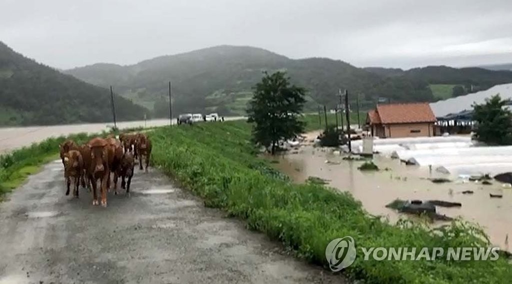 详讯：韩国十天暴雨致近7000人受灾