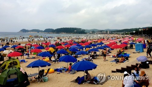 태안 만리포해수욕장 '인산인해'